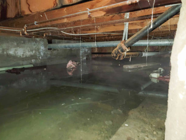 Sewage cleanup and water damage restoration in TN