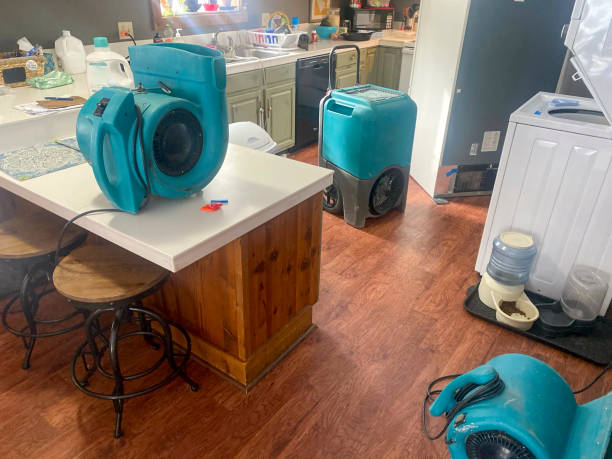 Best Mold removal after water damage  in Westmoreland, TN