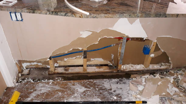 Best Water damage contractors near me  in Westmoreland, TN