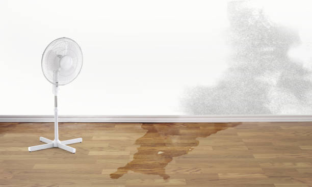 Best 24/7 water damage repair  in Westmoreland, TN