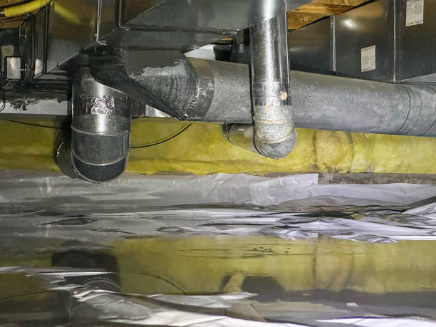 Best Emergency water extraction  in Westmoreland, TN